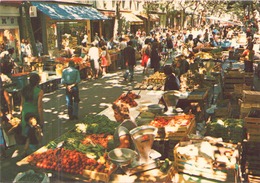 TOULON LE COURS LAFAYETTE - Venters