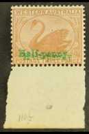 WESTERN AUSTRALIA 1895 ½d In Green On 3d Cinnamon, SURCHARGE DOUBLE, SG 108a, A Very Fine Lower Marginal... - Other & Unclassified