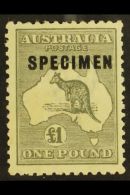 1923-24 £1 Grey Roo, Third Wmk (narrow Crown), Overprinted "SPECIMEN", SG 75s, Very Fine Mint. For More... - Other & Unclassified
