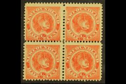 1896 ½c Orange Vermilion, Newfoundland Dog, SG 62, Fine Mint Block Of 4. For More Images, Please Visit... - Altri & Non Classificati