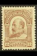 1910 12c Pale Red-brown KEVII, Perf 12, SG 104, Very Fine Mint. For More Images, Please Visit... - Altri & Non Classificati