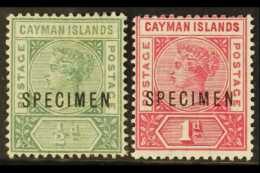 1900 1½d And 1d Overprinted "Specimen" (1d Creased), SG 1s/2s, Mint. Scarce. (2 Stamps) For More Images,... - Cayman Islands