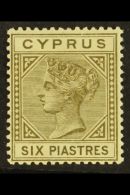 1882-86 6pi Olive-grey, Die I, Watermark Crown CA, SG 21, Fine Mint. For More Images, Please Visit... - Altri & Non Classificati