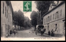 95 - MOISSELLES -- Avenue Des Tilleuls - Moisselles
