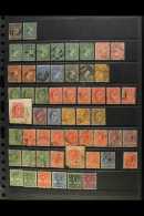 1878-1952 USED COLLECTION On Stock Pages, Inc 1878-79 4d & 6d (this With Small Ink Line), 1891-1902 To... - Falkland Islands