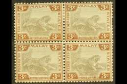 FMS 1904-22 3c Grey And Brown, SG 32, Very Fine Mint Block Of Four, Lower Pair Never Hinged. For More Images,... - Altri & Non Classificati