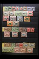 KEDAH 1912-1955 MINT & USED COLLECTION On A Stock Page. Includes 1912 Ranges With Mint To $2 & Used To $1,... - Other & Unclassified