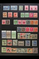 1902-1953 FINE MINT COLLECTION Presented On A Pair Of Stock Pages. Includes 1902 2½d Blue Plus A No Stop... - Niue