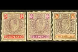 CAPE REVENUES 1903 1d, 6d & 2s KEVII, Barefoot 145, 147, 149, 2s Mint, 1d & 6d Never Hinged Mint, Faults,... - Unclassified