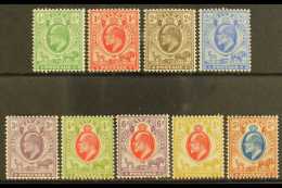 ORANGE FREE STATE 1903-04 KEVII Definitive Complete Set, SG 139/147, Very Fine Mint (9 Stamps) For More Images,... - Unclassified