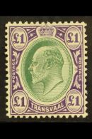 TRANSVAAL 1904 £1 Green And Violet, Ed VII, On Chalk Paper, SG 272a, Superb Mint. Lovely Stamp. For More... - Unclassified