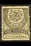 1884-86 25pi Black And Grey-olive "Emp. Ottoman", Perf 13½, Michel 50A, Fine Mint. For More Images, Please... - Altri & Non Classificati