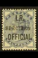 OFFICIAL - SPECIMEN OPT'D 1885 ½d Slate- Blue, Type 9 "SPECIMEN" Opt, SG O5s, Mint Small Part OG. Scarce.... - Other & Unclassified