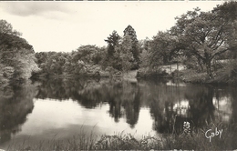 44   SAINT  ETIENNE  DE  MONTLUC    ETANG  DU  CHATEAU    DE  LA  BILLIAIS - Saint Etienne De Montluc