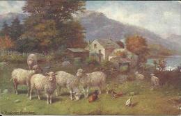CPA Illustrée Raphael Tuck - Happy England (Serie III) (Postcard 9470) - " In Pleasant Pastures ". . - Tuck, Raphael