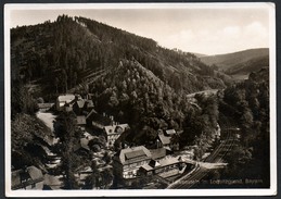 A3873 - Alte Foto Ansichtskarte - Falkenstein Im Loquwitzgrund - Escherich - N. Gel - Cham