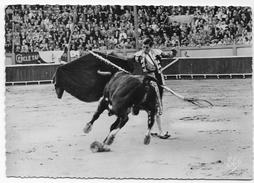 CPASM - La Course De Taureaux - Une "Passe Haute" - De ORDOÑEZ. - Taureaux