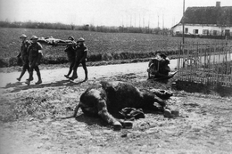 Militaria WW1 - Évacuation D'une Victime De La Bataille D'Hazebouck En Avril 1918 - 1914-18