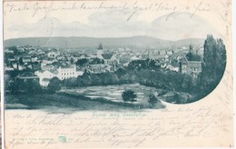 Gruss Aus ISERLOHN Gesamtansicht Grünlich Gelaufen 20.8.1900 Verlag Reinicke & Rubin Magdeburg - Iserlohn