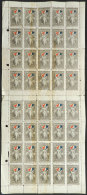 Cinderella Of The Year 1915 Of The French Patriotic Committee In Buenos Aires, Double Sheet Of 40 Cinderellas With... - Autres & Non Classés