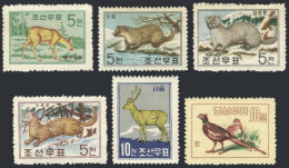 Sc.194/199, 1959/62 Animals, Cmpl. Set Of 6 MNH Values (the First 4 Issued Without Gum), Excellent Quality! - Korea, North