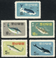 Sc.291/295, 1961 Fish, Cmpl. Set Of 4 MNH Values (issued Without Gum), VF Quality! - Korea (Nord-)