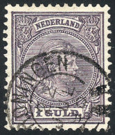 Sc.50, 1891/4 1G. Violet, Used, Excellent Quality, Catalog Value US$77 - Oblitérés