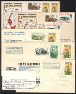 Reconnaissance Trip To The Falkland Islands/Malvinas Of José Manuel Moneta, January To February 1969, 6... - Falkland