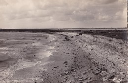 ANGOULINS-sur-MER. - L'Huîtrière Et La Platère. CPSM - Angoulins