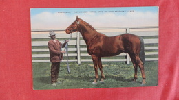 Black Americana   Man O War Wonder Horse  -ref 2571 - Black Americana