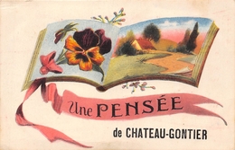 53-CHATEAU-GONTIER- UNE PENSEE - Chateau Gontier