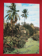 Delcampe - LA REUNION - COCOTIERS ET BANANIERS A SAINT PAUL - - Saint Paul