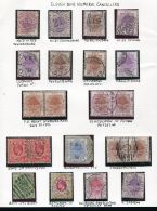 ORANGE FREE STATE AMAZING POSTMARKS WINBURG AANSLUITING - État Libre D'Orange (1868-1909)