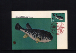 Japan 1966 Interesting Maximumcard - Cartoline Maximum