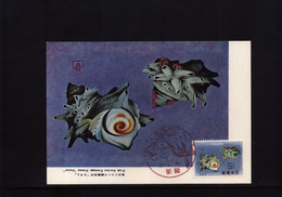 Japan 1966 Interesting Maximumcard - Tarjetas – Máxima