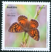 BRAZIL 2016  - BRAZILIAN BUTTERFLIES  -  PAPILLON - ARICORIS MIDDLETONI  - MINT - Nuovi