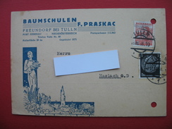 BAUMSCHULEN F.PRASKAC.FREUNDORF BEI TULLN - Tulln