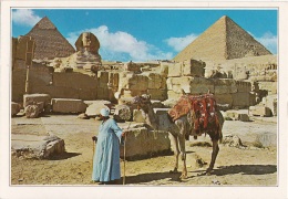 Giza. The Greet Sphinx And Keops Pyramid - Piramidi - Pyramides