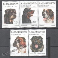 Georgie - Georgia 1997 Yvert 191-195, Fauna. Dogs - MNH - Georgien