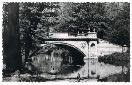 RB 1154 - Real Photo Postcard - The Bridge Chiswick House Park - London - London Suburbs