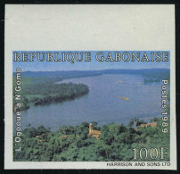 Neuf Sans Charnière 100F L' Ogooue ND + épreuve De Luxe Dernier Timbre De L'année 89 Non... - Altri & Non Classificati