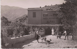 CPSM 9X14  MAROC .Grand Atlas. IDNI . Hôtel Restaurant " ALPINA " (Gazelles Et Sanglier En Liberté) Alt. 1650 M. - Andere & Zonder Classificatie