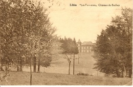 Libin. Les Fauvettes - Château Du Buchay - Libin