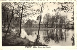 Libin. Etang Du Moulin - Libin