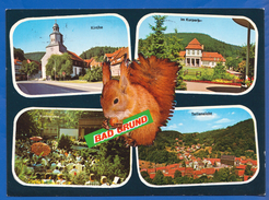 Deutschland; Bad Grund Im Harz; Multibildkarte - Bad Grund