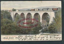 #NN408 - Gruss Aus Herrnhut - Viadukt - Allemagne ( Train - Viaduc) - Herrnhut
