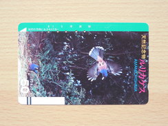 Japon Japan Free Front Bar, Balken Phonecard - 110-4319 / Amamioshima - Uccelli Canterini Ed Arboricoli