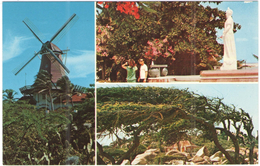 ARUBA - Nederlandse Antillen - Multivues - Olde Molen - Moulin - Not Used - Aruba