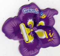 Magnets Magnet Alphabet Gervais Iris I - Lettere & Numeri