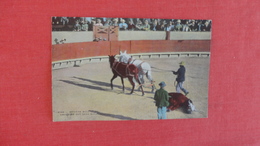 Dragging Out Dead Bull  Mexican Bull Fight      Ref 2577 - Corrida